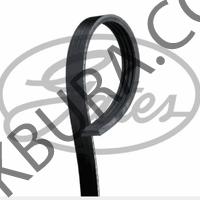 4 PK 1170 Gates V kayısı (Gates) 4pk1170