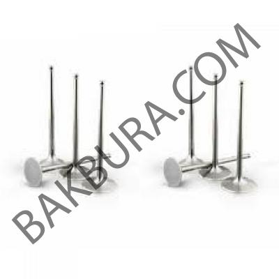 Nıssan Altıma 8v 3a20 Takım Supap (Nıppon) 13201-13202
