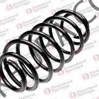 Toyota Yarıs 1999-2005 Arka Helezon Yayı (Taiwan) 48231-52060